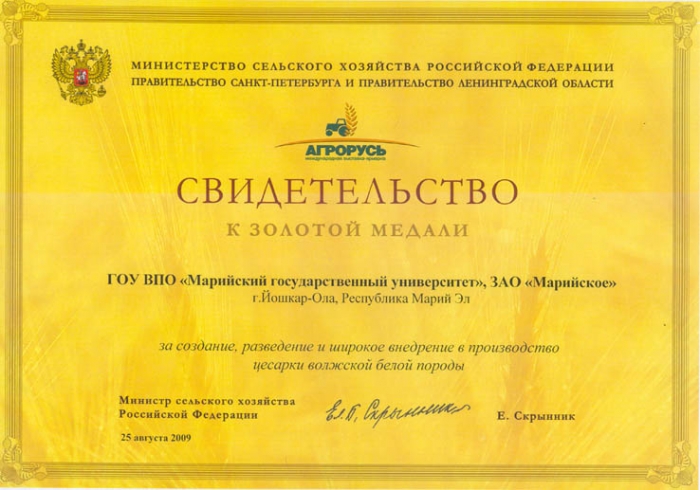 Медаль